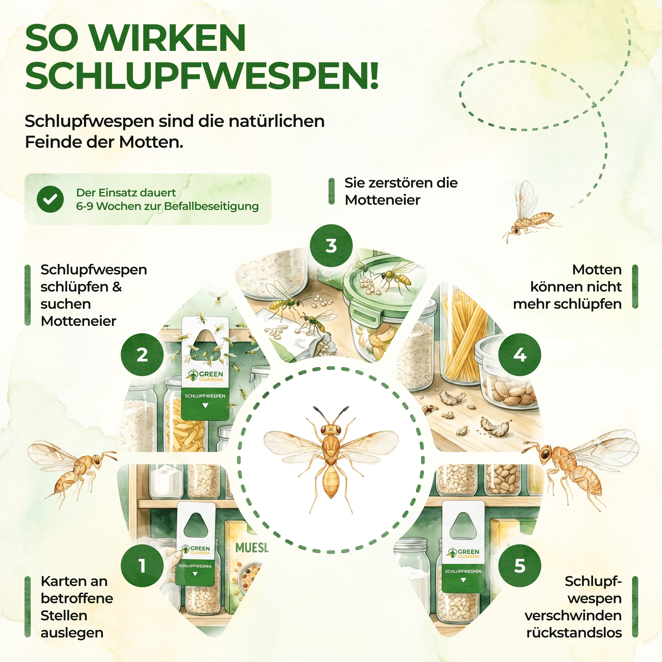 green-guardia-schlupfwespen-lebensmittelmotten-n-tzlinge-karte image 2