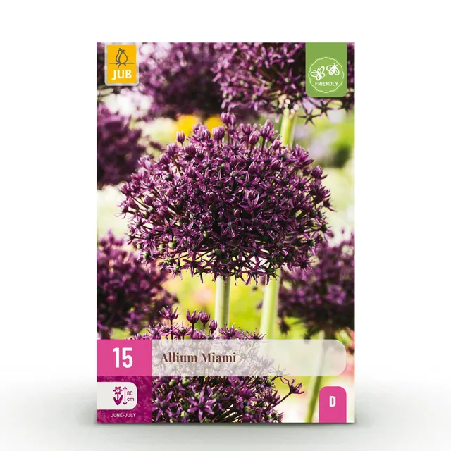 green-guardia-miami-allium-blumenzwiebeln-15-st-ck-lila image 1
