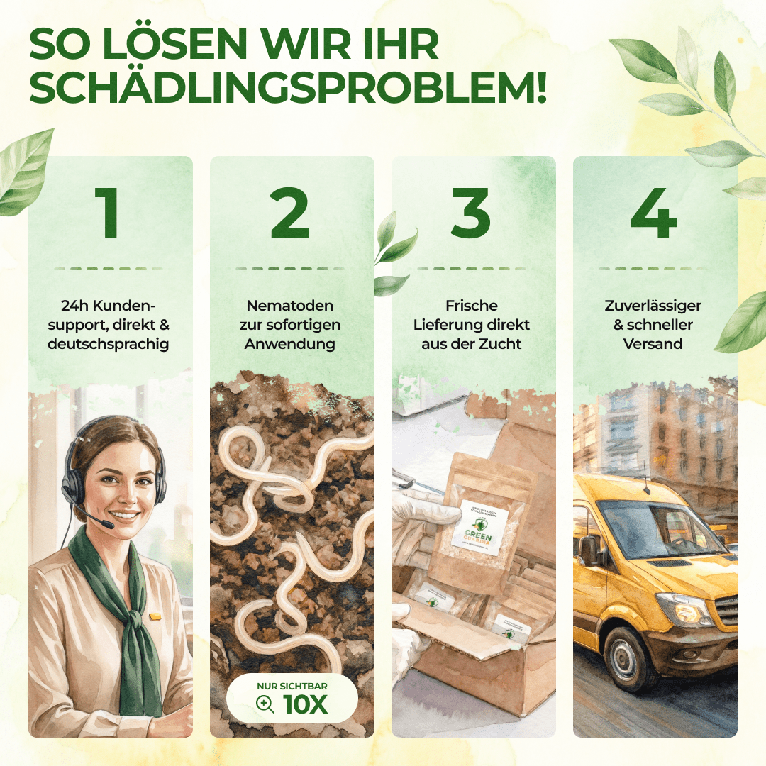 green-guardia-nematoden-kiefernprozessionsspinner-5-mio-10m image 4