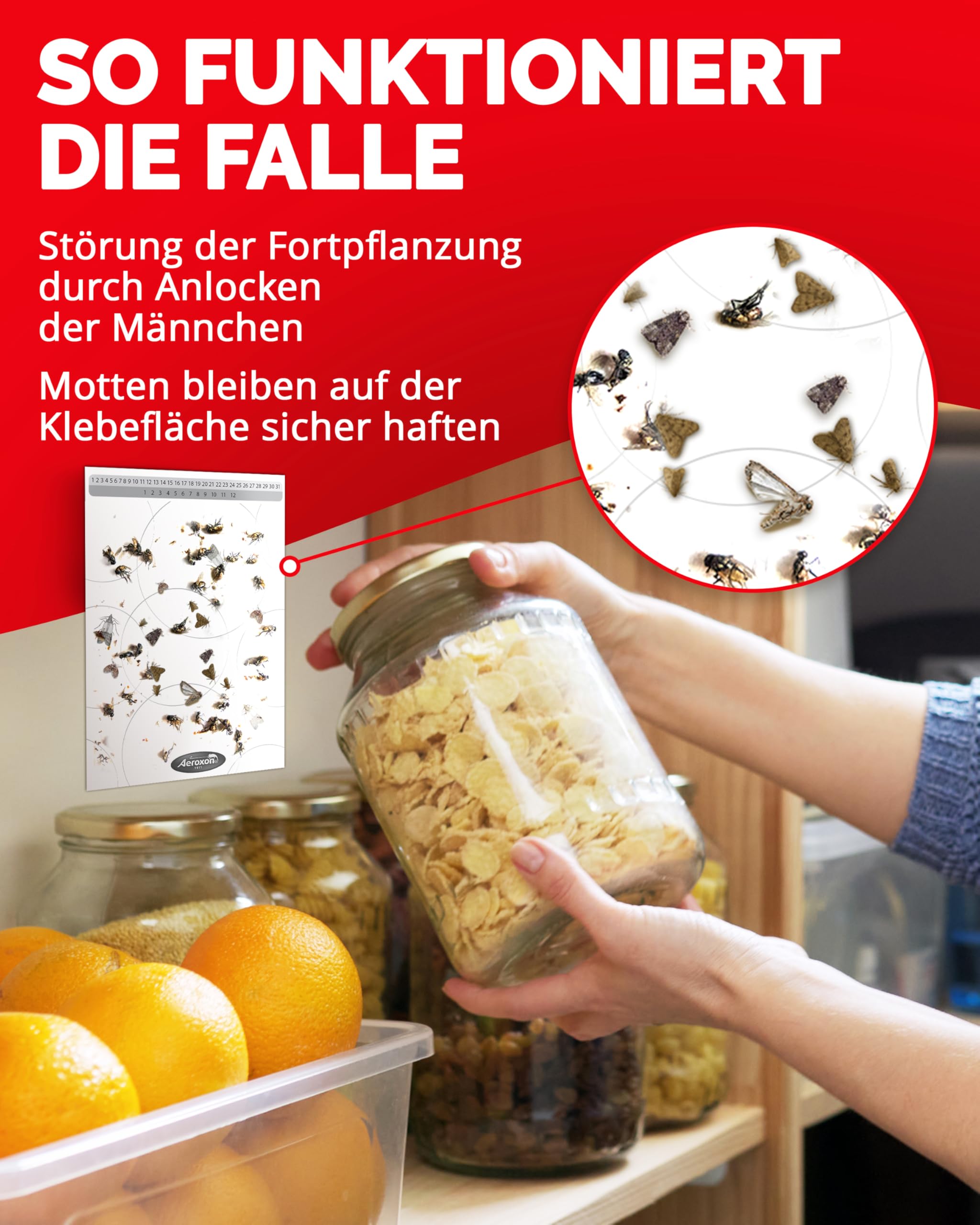 aeroxon-lebensmittelmotten-falle-pheromonfalle-6-st-ck-f-r-k-che image 3