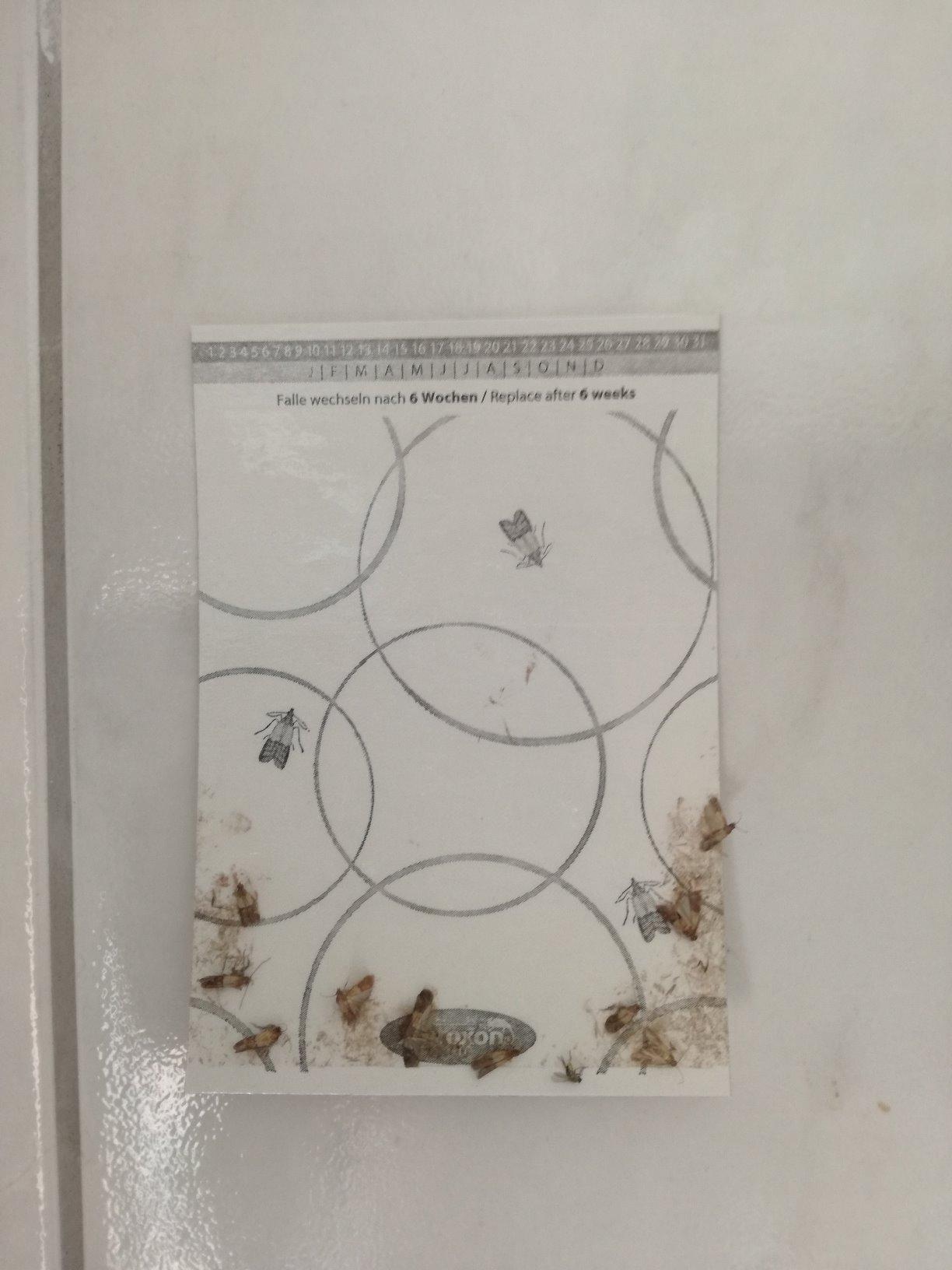 Nur zur Kontrolle