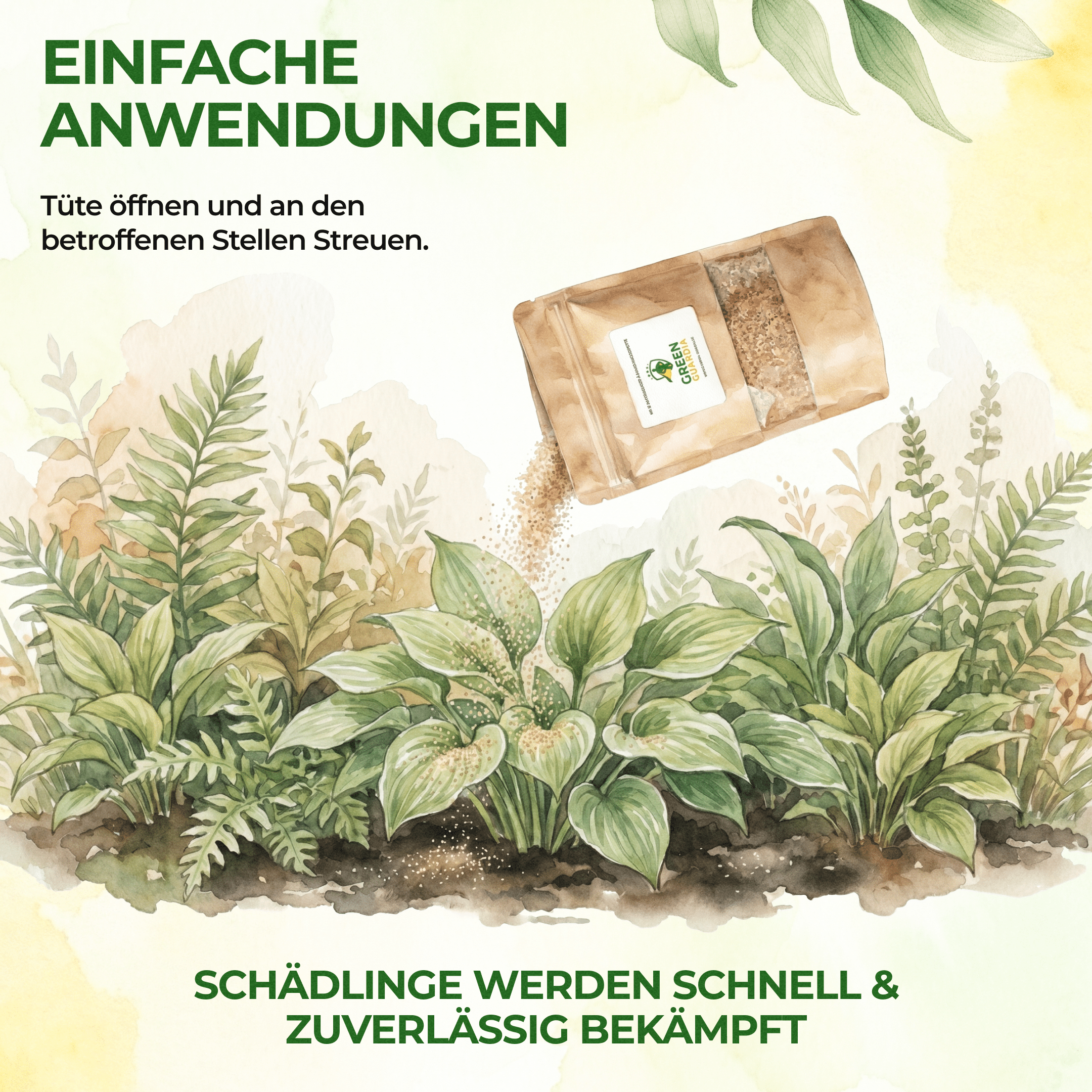 green-guardia-raubmilben-gegen-thripse-1x-t-te-10m image 3