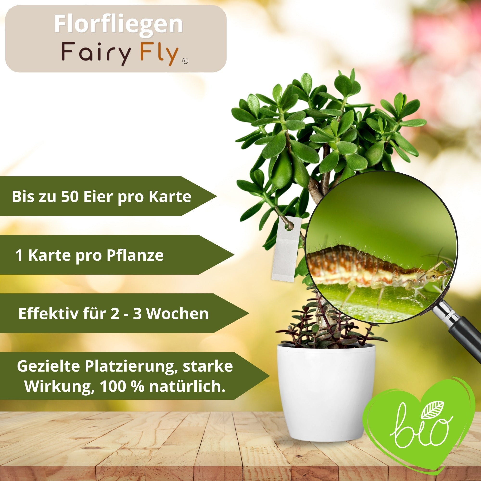 fairyfly-florfliegen-blattl-use-karten-1-karte-2m-biologisch image 3