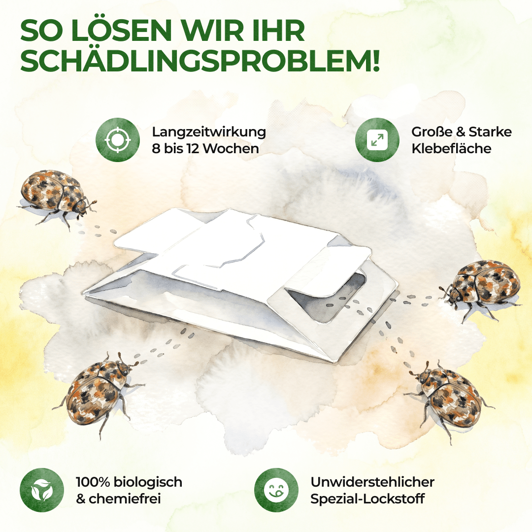 green-guardia-mehrweg-fallen-wollkrautbl-tenk-fer-klebefalle-3x-giftfrei image 7