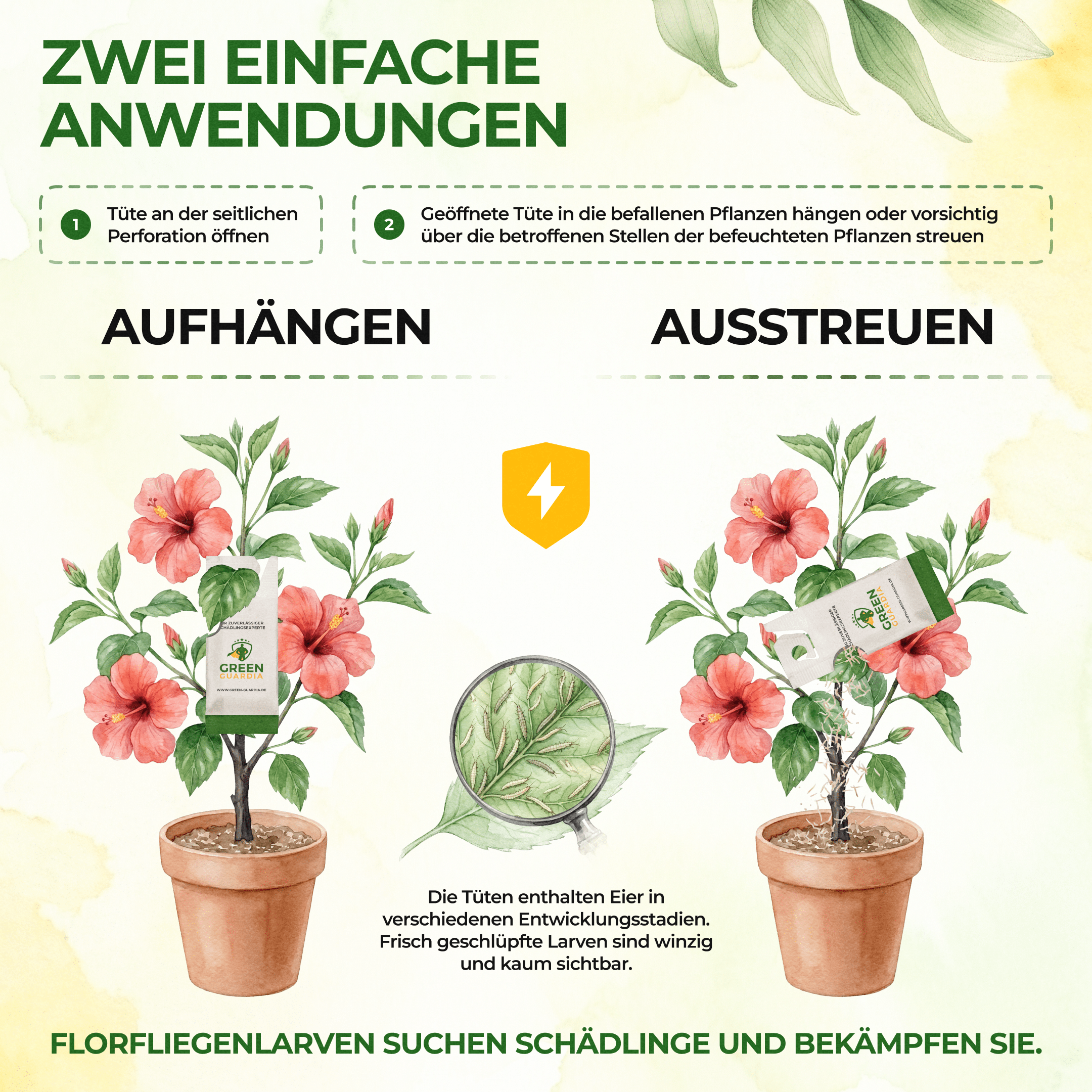 green-guardia-florfliegenlarven-und-eier-n-tzlinge-1-t-te-gegen-blattl-use image 3