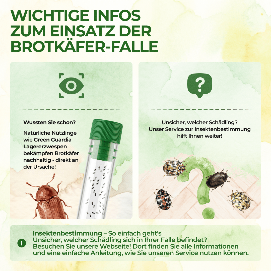 green-guardia-brotk-fer-falle-pheromon-mehrweg-1-st-ck image 7