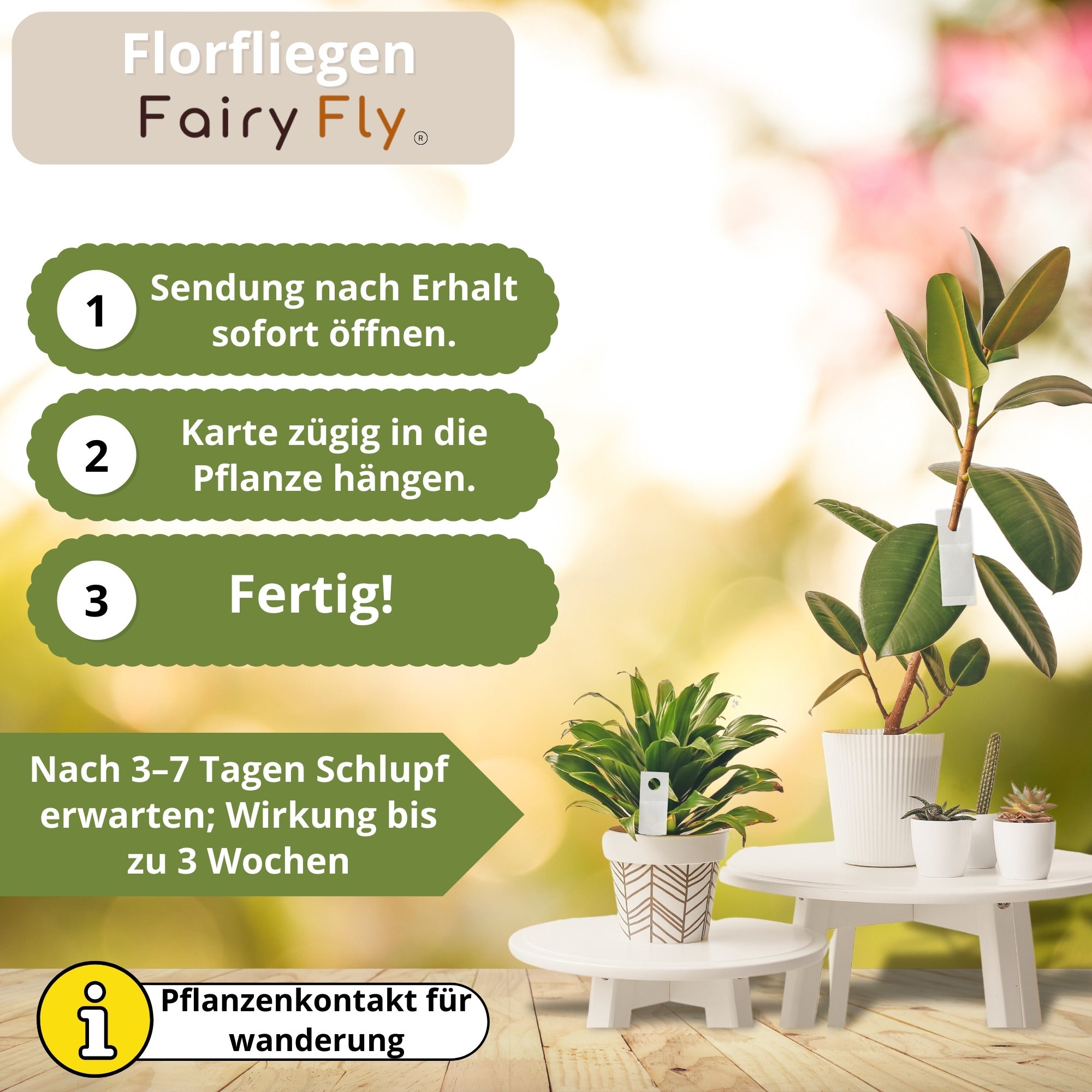 fairyfly-florfliegen-blattl-use-karten-1-karte-2m-biologisch image 4