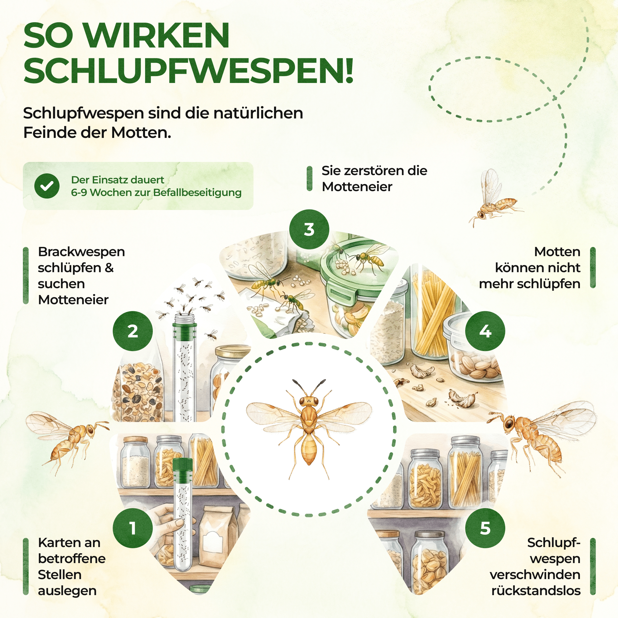 green-guardia-weitere-n-tzlinge-brackwespen-lebensmittelmotten-40-st-ck-20m image 2