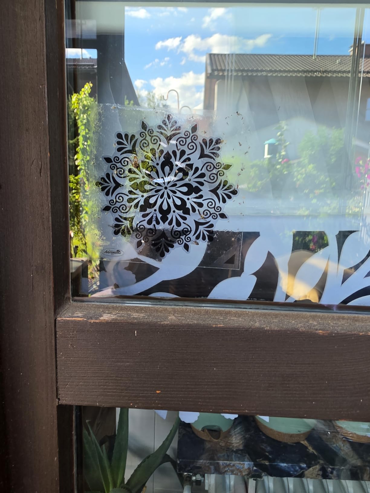 Hält am Fenster