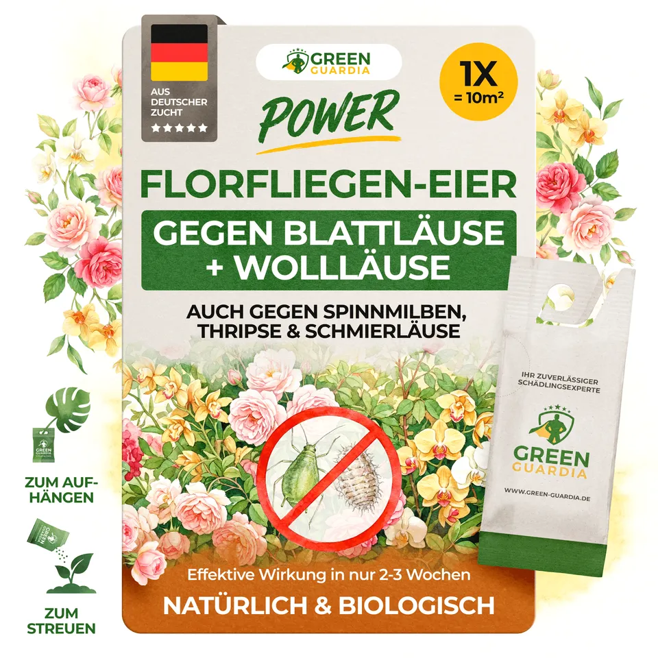 green-guardia-florfliegenlarven-und-eier-n-tzlinge-1-t-te-gegen-blattl-use image 1