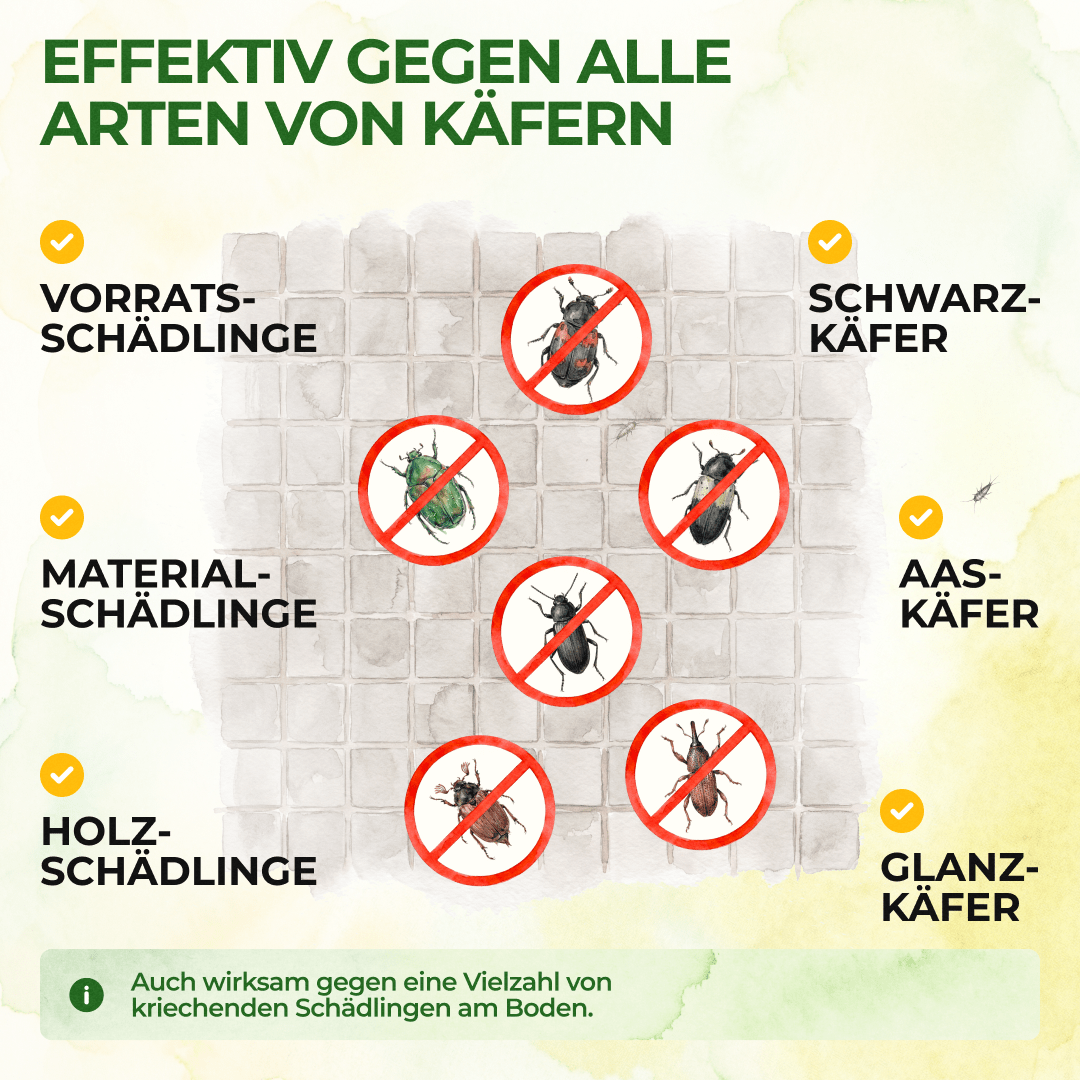 green-guardia-k-fer-falle-klebefalle-3x-giftfrei-lockstoff image 2