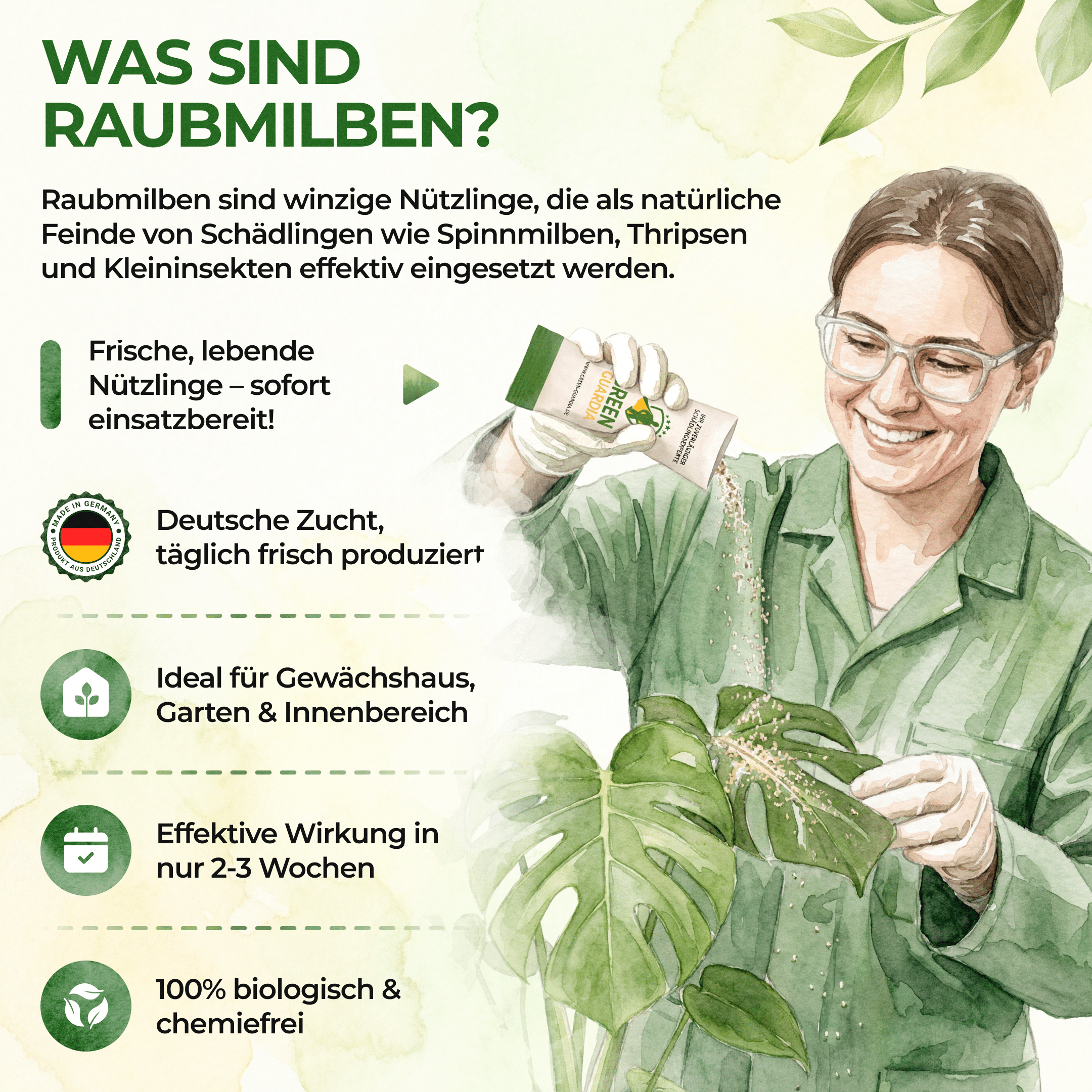 green-guardia-raubmilben-gegen-spinnmilben-1-t-te-n-tzlinge image 7