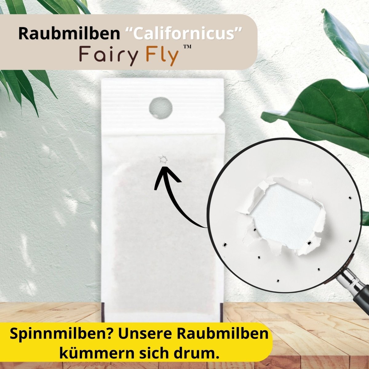 fairyfly-raubmilben-californicus-spinnmilben-1-t-tchen-bio image 3