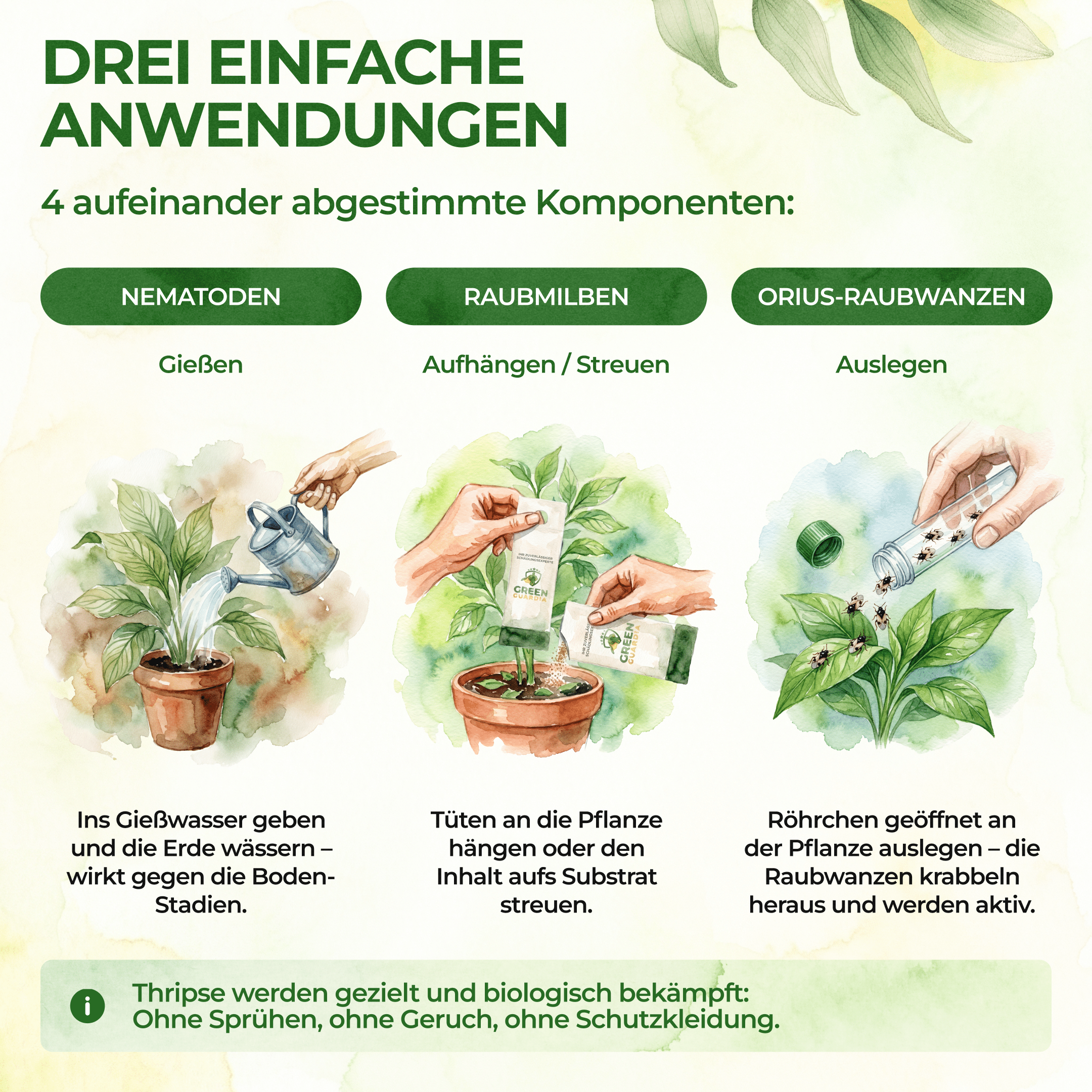 green-guardia-raubmilben-thripse-frei-bundle-n-tzlinge-soforthilfe-set image 5