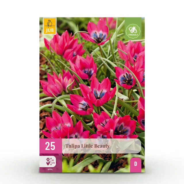 green-guardia-tulpe-little-beauty-blumenzwiebeln-25-st-ck-rosa image 1
